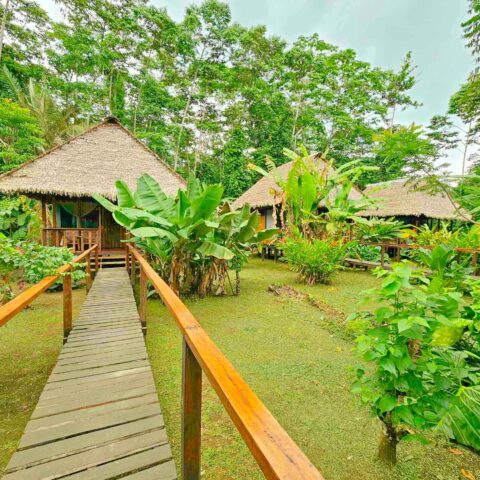 Manu Reserved Zone Tours 5 Days